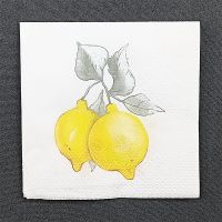 Двухслойные бумажные салфетки 20x20 см 250 листов с рисунком "Лимоны"